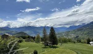 Prodej Byt Crans-Montana