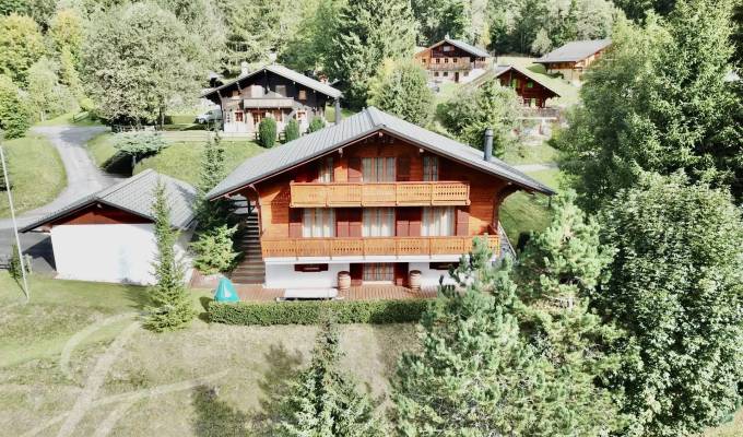 Prodej Chalet Les Diablerets