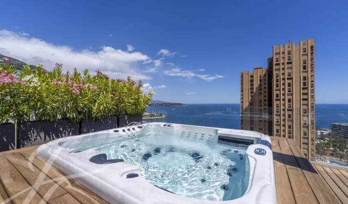 Prodej Penthouse Monaco