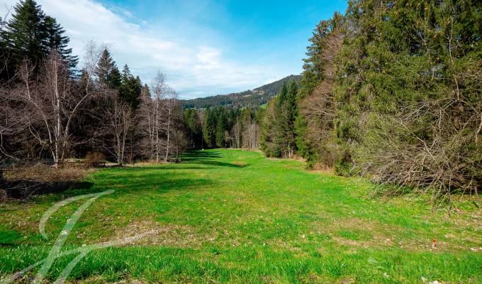 Prodej Stavební pozemky Les Paccots