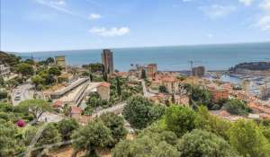 Prodej Stavební pozemky Roquebrune-Cap-Martin