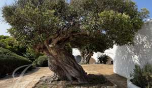 Prodej Vila Ciutadella de Menorca